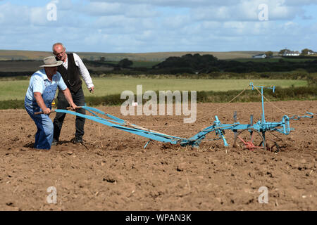 Team di 2 cavalli di Cobb arare il terreno in Gower Match di aratura. Le pratiche agricole tradizionali sono in grado di preservare la salute del suolo, con minor compattazione. Foto Stock