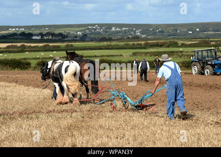 Team di 2 cavalli di Cobb arare il terreno in Gower Match di aratura. Le pratiche agricole tradizionali sono in grado di preservare la salute del suolo, con minor compattazione. Foto Stock