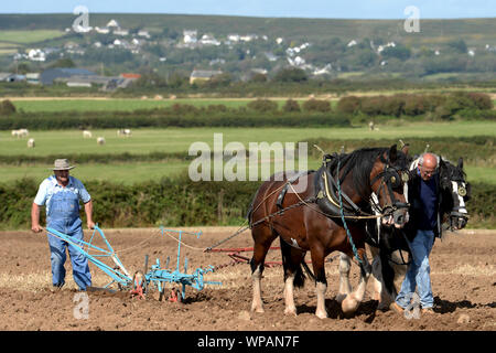 Team di 2 cavalli di Cobb arare il terreno in Gower Match di aratura. Le pratiche agricole tradizionali sono in grado di preservare la salute del suolo, con minor compattazione. Foto Stock