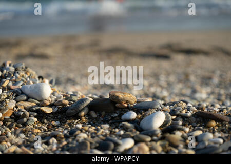 Wet ciottoli di mare e conchiglie su un umido di spiaggia sabbiosa. Mare naturale delle pietre di close-up. Spiaggia di ciottoli lisci di close-up. il fuoco selettivo. Foto Stock