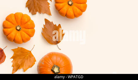 Una composizione di autunno vista superiore realizzata con zucche e asciugare le foglie di autunno. Camera per contenuti e testo. Foto Stock