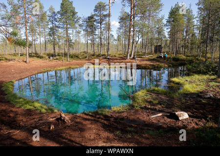 Arvidsjaur, Svezia - Agosto 21, 2019: Vista della molla di rana, Grodkallan in svedese, con chiara acqua fresca, situato nei pressi di Arvidsjaur in svedese p Foto Stock