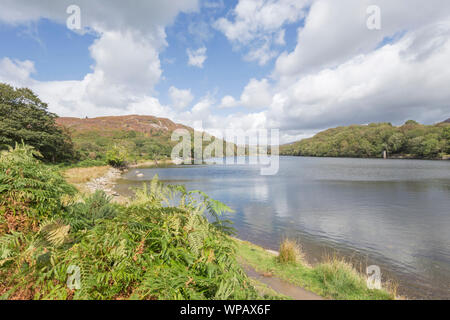 Llyn Cynwch lago sul popolare precipizio a piedi, Snowdonia National Park, North Wales, Regno Unito Foto Stock