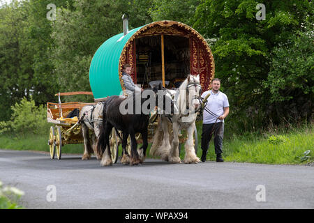 Bow Top Gypsy Caravan tirato da due cavalli seguita da un letto piano carrello, viaggia in discesa Mallerstang sul modo di Appleby horse fair. Regno Unito. Foto Stock