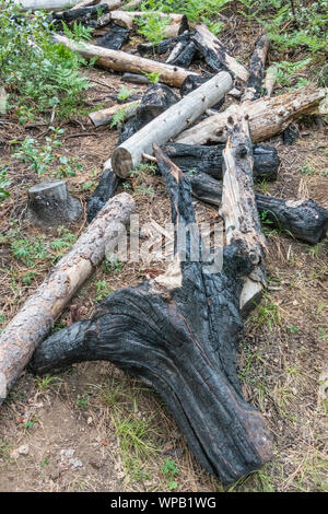 I resti di un incendio di foresta in Deschutes National Forest a ovest di piegare, Oregon dal Tumola cade. Foto Stock