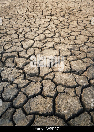 Asciutto e rotto la massa di argilla durante la stagione della siccità, concetto di riscaldamento globale il problema. Incrinato e sterile la tessitura del suolo dello sfondo. La carenza globale o Foto Stock