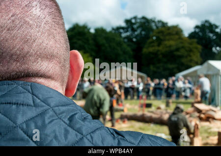 Sandringham, Norfolk, Regno Unito. Il 08 settembre 2019. Il 2019 Sandringham Game & Country Fair tenutasi il Sandringham Estate. UrbanImages-News/Alamy Foto Stock