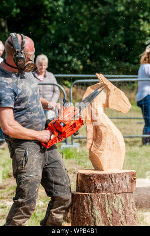 Sandringham, Norfolk, Regno Unito. Il 08 settembre 2019. Il 2019 Sandringham Game & Country Fair tenutasi il Sandringham Estate. L'immagine mostra la velocità chainsaw carving la concorrenza. UrbanImages-News/Alamy Foto Stock