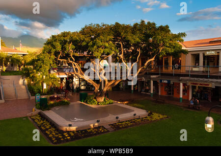 Il Whaler's Village shopping mall sull'isola tropicale di Maui, Hawaii, STATI UNITI D'AMERICA Foto Stock