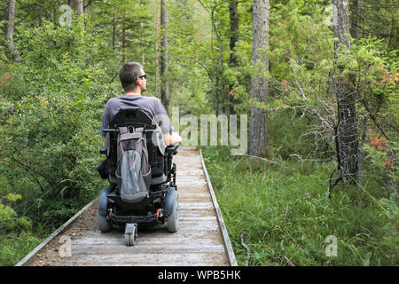 Felice l'uomo su una sedia a rotelle in natura. Esplorare la foresta deserto su un accessibile percorso sporco. Foto Stock