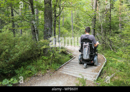 Felice l'uomo su una sedia a rotelle in natura. Esplorare la foresta deserto su un accessibile percorso sporco. Foto Stock