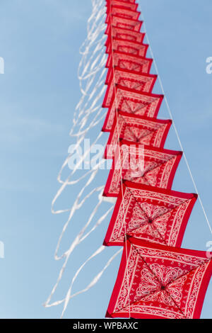 Le foto scattate di coloratissimi aquiloni artigianali su un kite festival presso la spiaggia di Buren sull isola di Ameland, Agosto 2019 Foto Stock