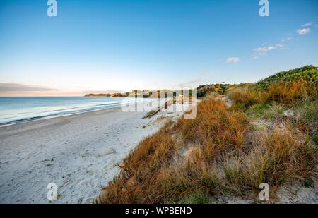 Waipu spiaggia al tramonto, Waipu Cove, Northland e Nuova Zelanda Foto Stock