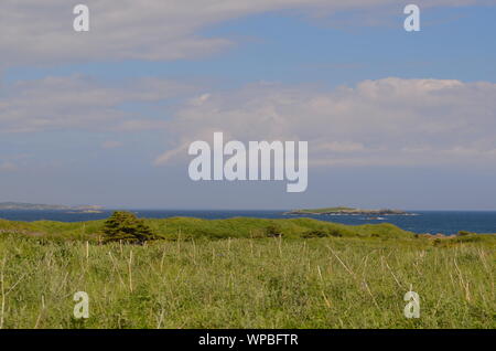 Summertime in Nova Scotia: Guardando a Nord-est di Isola Verde e isola rocciosa da vicino e Louisbourg Blackrock punto Foto Stock