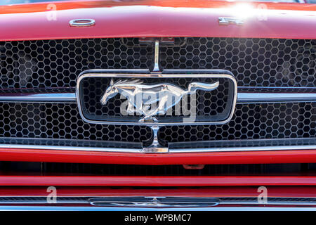 Cavallo al galoppo badge sulla griglia di una Ford Mustang Foto Stock