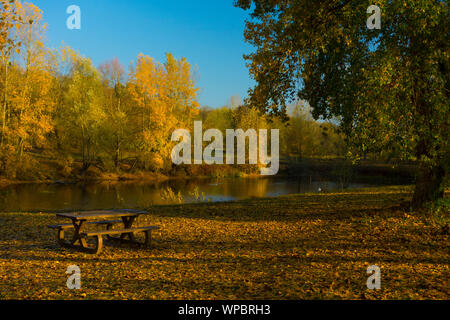 In Francia, in Loiret (45), Saint Ay, stagno sulle rive della Loira dalla vecchia cava di ghiaia Foto Stock