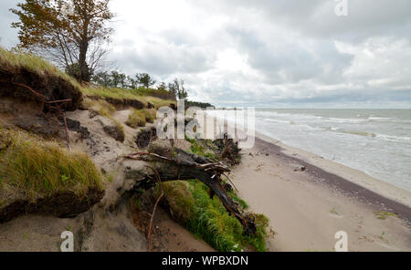 Spiaggia di Amber Coast al Mar Baltico in Lettonia, Europa Foto Stock