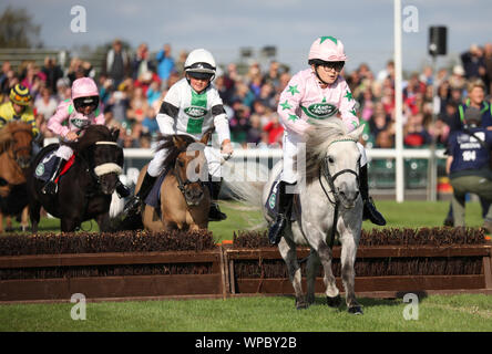 Il pony Shetland Grand National prende il via al Land Rover Burghley Horse Trials, Stamford, Lincolnshire, il 7 settembre 2019. Foto Stock