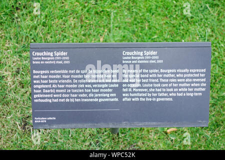 Accovacciato Spider 2003 da French-American artista Louise Bourgeois 1911-2010. Rijksmuseum Gardens, Amsterdam, Paesi Bassi. Foto Stock