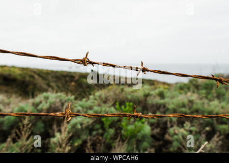 Barbwire recinto vicino fino in boccole sovradimensionate con Sfondo oceano Foto Stock