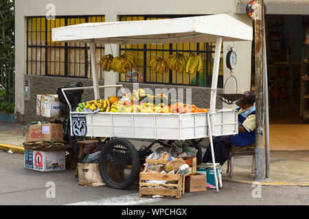 LIMA, Perù - Settembre 20, 2011: un mobile street venditore a vendere frutta (mandarino, banana, papaia e avocado) su un carrello il 20 settembre, 2011 Foto Stock