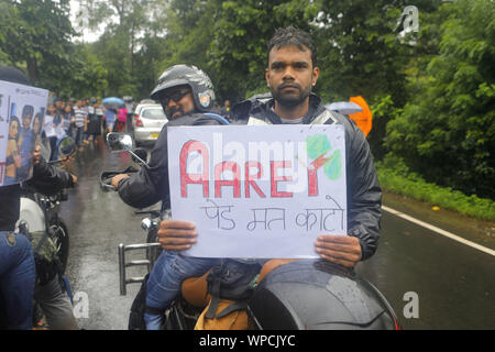 Mumbai, Maharashtra. 8 Sep, 2019. 08 Sett 2019 - Mumbai - India.nonostante un pesante acquazzone di piogge Mumbai residenti provengono a protestare contro la distruzione della foresta Aarey in Mumbai come pure la foresta amazzonica in Brasile.Il governo ha proposto di tagliare verso il basso 2700 alberi per fare la strada per raggiungere la metropolitana capannone auto nella Aarey area forestale di Mumbai.I residenti termine questo come un tentativo di land grab & un progetto di distruzione della foresta Aarey che è casa di 9 leopardi & Wildlife & 500 migliaia di alberi. Credito: Subhash Sharma/ZUMA filo/Alamy Live News Foto Stock