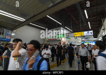 Kanagawa, Giappone. Il 9 settembre 2019. Pendolari attendere per i treni a JR Fujisawa stazione nella Prefettura di Kanagawa. Dopo il tifone nr.15 'Faxai' ha colpito il Giappone tra la notte del 8 e la mattina del 9 settembre, con venti fino a 210 km/h, la maggior parte dei servizi ferroviari verso la capitale è stata interrotta a causa di conseguenze. Uno dei più potenti tifoni per colpire la capitale giapponese per anni, Faxai fatto approdo nella prefettura di Chiba, appena ad est di Tokyo, prima dell'alba di lunedì, dopo il passaggio attraverso la baia di Tokyo. Credito: Aflo Co. Ltd./Alamy Live News Foto Stock