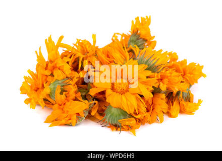 Essiccata la calendula fiori isolati su sfondo bianco. Foto Stock