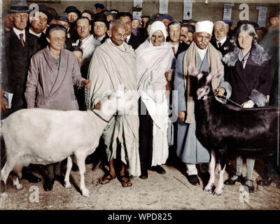 Mahatma Gandhi, Mirabehn e altri presso Royal Agricultural Hall, Londra, Inghilterra, regno unito, regno unito, regno Unito, 23 ottobre 1931, vecchia foto vintage anni '1900 Foto Stock