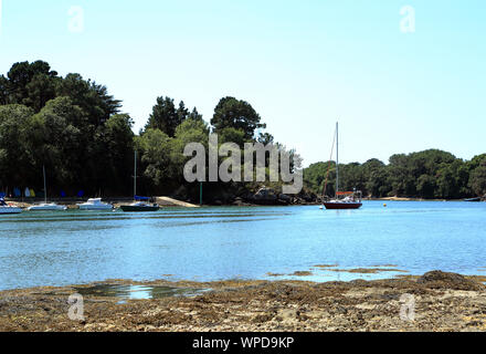 Vista su Porto Anna a bassa marea da Ile de Conleau, Vannes, Morbihan, in Bretagna, Francia Foto Stock