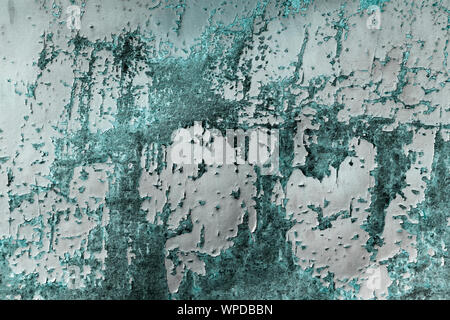 Porta a trama, ossidato. La vecchia porta in un villaggio rurale casa. Configurazione astratta texture. Foto Stock