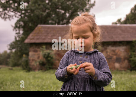 Poco adorabile ragazza bambino la pelatura pisello verde, da materia organica bio agriturismo campagna giardino, con freschi cibi sani Foto Stock