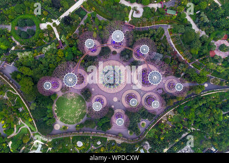Giardino dalla baia alberi super vista aerea, Singapore Foto Stock
