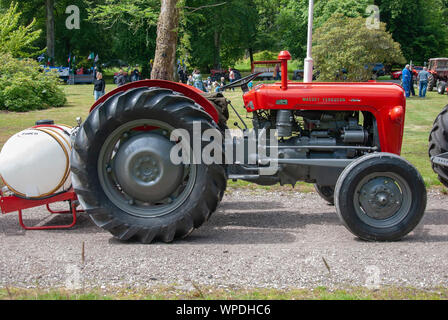 Immacolata 1960 grigio rosso Massey Ferguson 35X Modello trattore Isle of Bute Scozia Regno Unito driver lato destro fuorigioco view old luccicanti ri Foto Stock