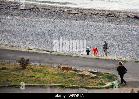 Chesil Beach. 8 settembre 2019. Regno Unito Meteo. Le persone fanno la maggior parte dell'ultima giornata di sole su Chesil Beach nel Dorset. Credito: stuart fretwell/Alamy Live News Foto Stock