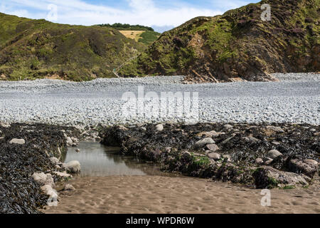 Babbacombe Beach, North Devon, con la bassa marea - cercando di navigazione presso il South West Coast Path, Spiaggia di ghiaia e scogli. Babbacombe Beach, vicino Bucks Mills, Foto Stock