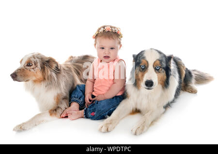 Bambino e cane in font di sfondo bianco Foto Stock