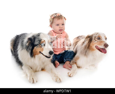 Bambino e cane in font di sfondo bianco Foto Stock