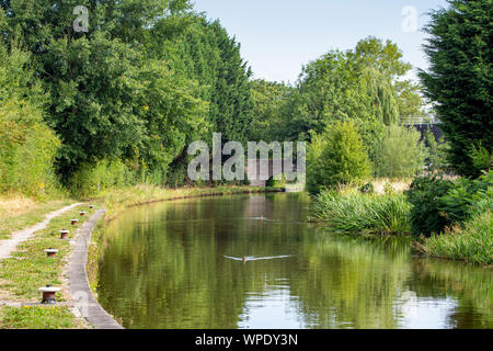 Ponte di arco oltre trent e Mersey canal nel Cheshire Regno Unito Foto Stock