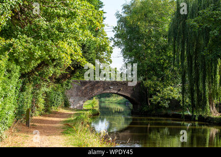 Ponte di arco oltre trent e Mersey canal nel Cheshire Regno Unito Foto Stock