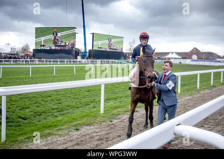 La vittoria di gara testa di cavallo alla parade ring presso il famoso festival di Cheltenham. Nel Regno Unito il premier nazionale gara di suoneria incontro. Foto Stock