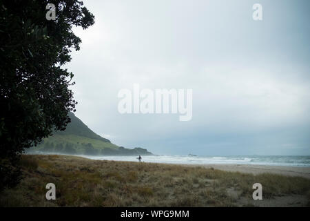 Lone surfer il Mount Maunganui surf Beach, Nuova Zelanda Foto Stock