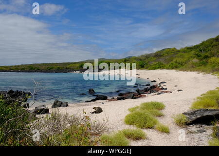 Ecuador Isole Galapagos Isla Santa Cruz Playa Baquerizo Beach Foto Stock