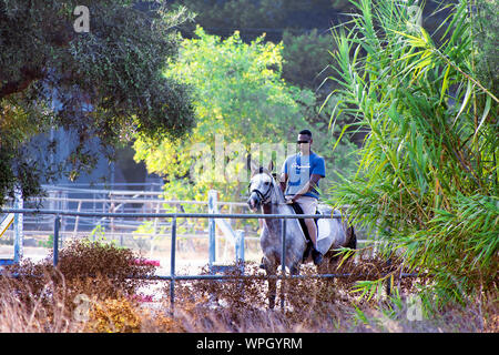 Murcia, Spagna, 28 agosto 2019: Horse rider, piloti al sables. Sportivo Equitazione all'interno della stabile. Foto Stock