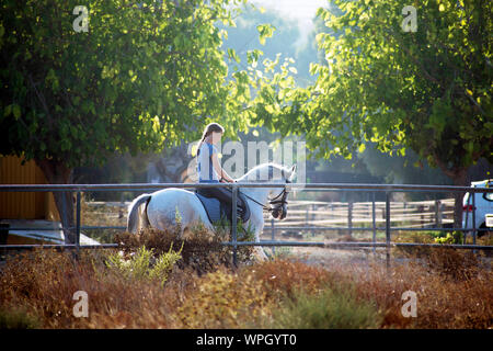 Murcia, Spagna, 28 agosto 2019: Horse rider, piloti al sables. Sportive di equitazione all'interno della stabile. Le donne la pratica di discipline sportive. Forza delle donne. Foto Stock