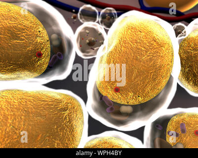 Gruppo di cellule viventi sotto microscopio, alta qualità 3D render di celle, campo di celle, la struttura della molecola, struttura di cella, la divisione di hu Foto Stock