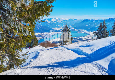 Osservare la snowy Zwolferhorn pendio di montagna, superficie turchese del lago Wolfgangsee e vecchi abeti rossi in primo piano, St Gilgen, Salzkammergut, Austr Foto Stock