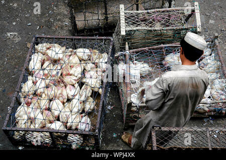 Un uomo musulmano tiene polli al mercato in Landi Kotal, Pakistan. I polli sono in gabbie. Landi Kotal è sul Khyber Pass vicino a Peshawar, Pakistan. Foto Stock