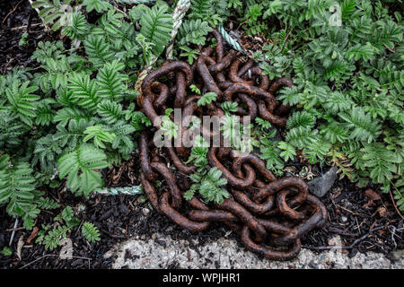 una catena arrugginita sul terreno Foto Stock