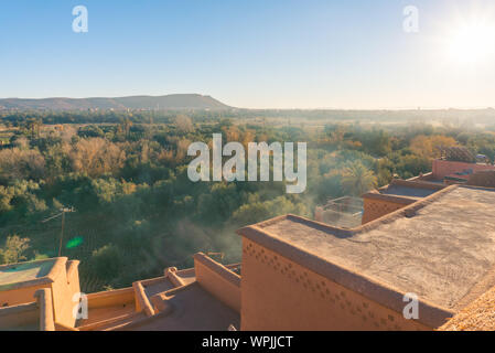 Vista sull'oasi vicino alla città di Tinerhir, Marocco Foto Stock